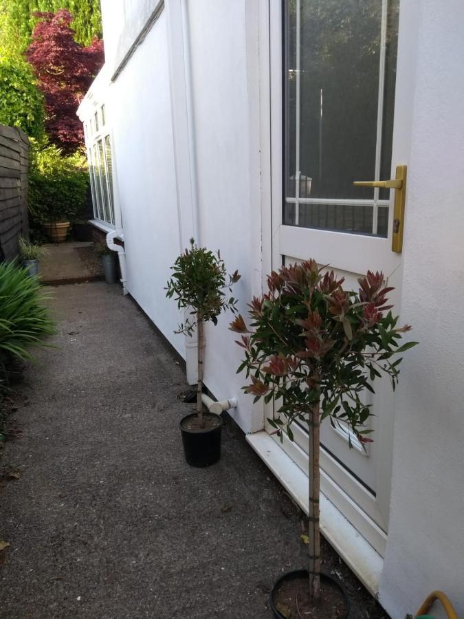 Cosy, Dog Friendly House On The Fringe Of The Brecon Beacons Villa Tredegar Ngoại thất bức ảnh
