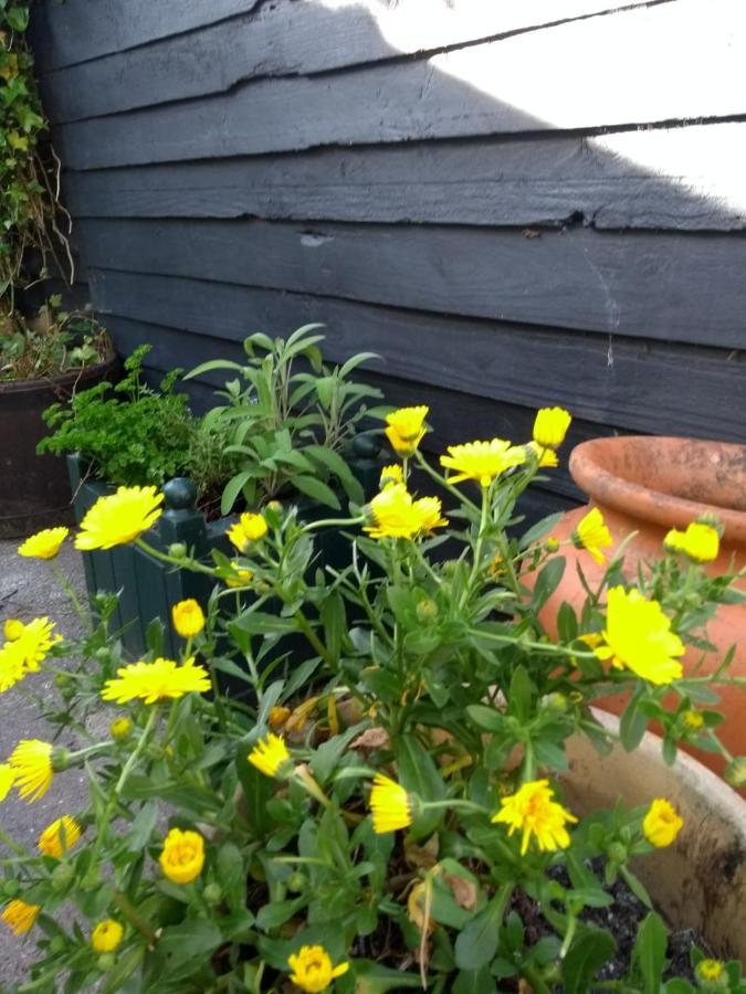 Cosy, Dog Friendly House On The Fringe Of The Brecon Beacons Villa Tredegar Ngoại thất bức ảnh